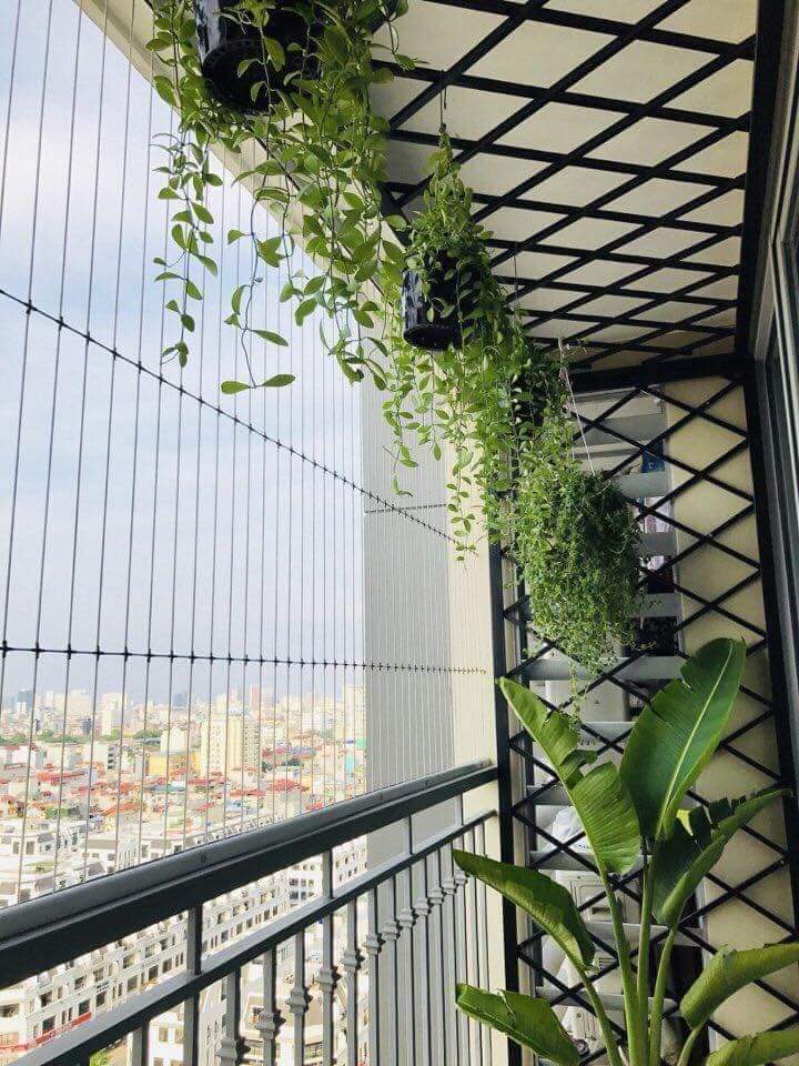 Lưới an toàn Hòa Phát